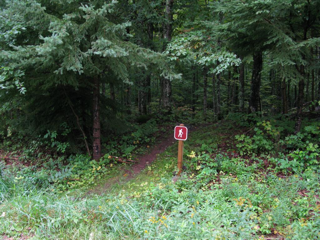 Blog | Wolf Mountain