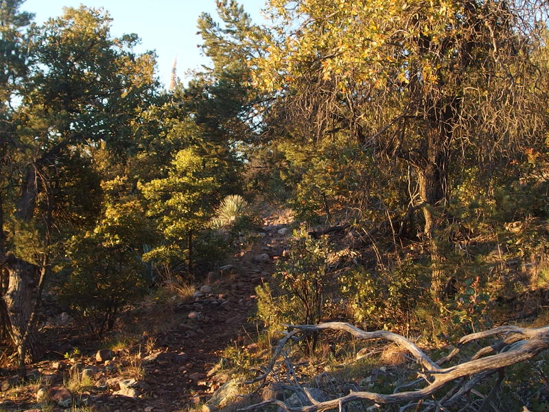 An ever-climbing trail