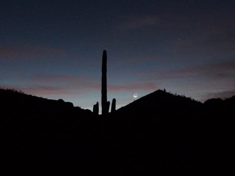 Dim morning light from the trailhead